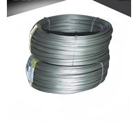 Cobalt Foil, Sheet, Plate, Wire, and Rod - Co99.999% for Scientific Research and Industrial Applications(Cobalt filament 0.3mmx1000mm)