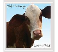 COBALT & THE HIRED GUNS - Jump the Fence