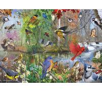Cobble Hill 1000 Piece Puzzle - Birds Of The Season - Sample Poster Included
