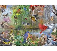 Cobble Hill 1000 Piece Puzzle - Birds Of The Season - Sample Poster Included, 26.625" x 19.25"