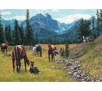 Cobble Hill 1000 Piece Puzzle - Horse Meadow - Sample Poster Included