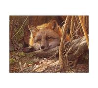 Cobble Hill 500 Piece Puzzle - A Touch of Warmth - Sample Poster Included