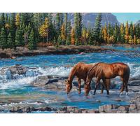 Cobble Hill On The Rocks Jigsaw Puzzle (1000 Pieces)