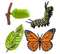Cobee Insect Figurines Life Cycle of Butterflies Growth Model, 4 Pcs Preschool Learning Teaching Insect Growth Cycle Model Toy Realistic Animal Figures Education Stage Props
