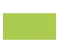 Cobra Artist Oil Colour Tube 40 ml Yellowish Green 617