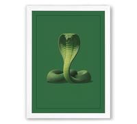 Cobra at Rest Natural Framed Wall Art Print A1 (84.1×59.4cm) White, Wall Decor for Living Room, Bedroom, Office & Home, Ready to Hang, Art Gift