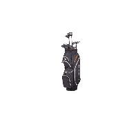 Cobra FLY-XL 2025 BOX Package SET BLACK GOLD RH Mens - Reg Dexterity: