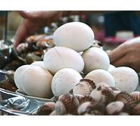 Cobra Heart - Foods that Make You Manly