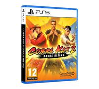 Cobra Kai 2: Dojos Rising