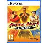 Cobra Kai 2 Dojos Rising Sony Playstation 5 PS5 Game