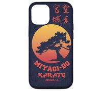 Cobra Kai Miyagi-Do Karate Sunrise Logo TV Show Case for iPhone 12/12 Pro
