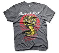 Cobra Kai Officially Licensed Never Dies Mens T-Shirt (Dark-Heather), Large