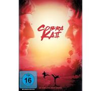 Cobra Kai Season 2 - Cobra Kai Season 2