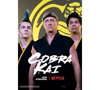 Cobra Kai TV Series Poster Wall Art A3 Size Version 8