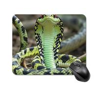 Cobra Snake Mouse Pad 20 * 25cm - Non-Slip Rubber Base Mouse Mat Portable Square Desk Mat for Office, Laptop, Travel, Wireless Mice Mats - Waterproof & Durable Design