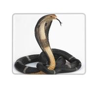 Cobra Snake Print Mouse Pad Square Mouse Mat Non-Slip Mousepad Large Gaming Mouse Mat For Office Laptop 7 x 8.6 in