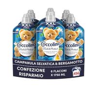 Coccolino Fabric Softener Concentrate Wild Bells and Bergamot, Fabric Softener Intense Care with Pro-Faser-Technology, XXL Size 456 Washes, 6 Pieces à 1850 ml