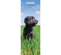 Cockapoo 2026 Slim Calendar