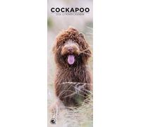 Cockapoo 2026 Wall Calendar, 12-Month Slim Format, Made in England