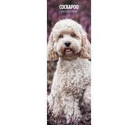 Cockapoo 2027 Slim Calendar