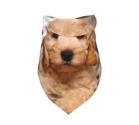Cockapoo Beige Curly Dogs Pets Dogs,Bib Scarf Triangle Hood Adjustable Pet Scarf Washable Hood Suitable for Small, Medium and Large Dogs and Cats