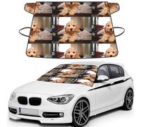 Cockapoo Beige Curly Dogs Pets Dogs, Car Windshield Cover, Protective Windscreen Cover - Snow Ice Sun UV Dust Water Resistant - Fit for Most Cars