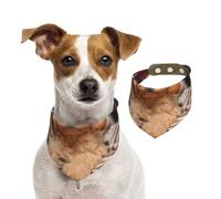 Cockapoo Beige Curly Dogs Pets Dogs,Pet Bib Scarf Cats Dog Bandana Dogs Towel Bib Adjustable Pet Scarf,M