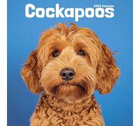 Cockapoo Calendar 2026