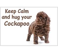 Cockapoo Chocolate Brown Puppy Fridge Magnet - Ideal Birthday Gift for The Dog Lover