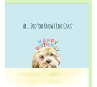 Cockapoo Did You Know I Like Cake? Birthday Card, Textured FSC Card, Original Artwork Design, 15cm x 15cm