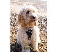 Cockapoo Dog Birthday Card