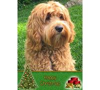 Cockapoo Dog Christmas Card 'Happy Christmas' - Special Animal Xmas Card for Him Her from Pets Kids
