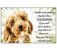 Cockapoo Dog - Just Pee on it - Fun novelty Flexible 6" x 4" Magnet