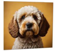 Cockapoo Greeting Card - Cute Cockapoo Face 145mm x 145mm