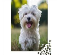 Cockapoo Jigsaw Puzzles For Adults 1000 Piece Jigsaws Puzzles Puzzles For Adults Kids Puzzle Games Toys Gift for Home Decoration Premium & Durable for Stress Relief 1000pcs (75x50cm)