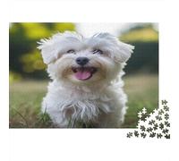 Cockapoo Jigsaw Puzzles Puzzles for Adults Kids. 1000 Pieces Cute Dog Whimsical Challenge Toy Educational Games Home Decoration for Educational Games Gifts 1000pcs (75x50cm)