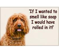 Cockapoo Pet Dog Funny Fridge Magnet - If I Wanted to Smell Like soap