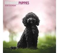 Cockapoo Puppies 2026 Calendar