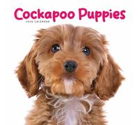 Cockapoo Puppies Mini Calendar 2026, Wall Calendars, Month To View, Gift