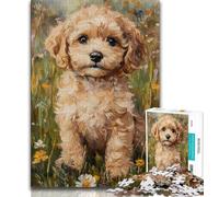 Cockapoo Puppy 1000 Piece Jigsaw Puzzles for Adults & Teens,Learning Educational Toys Family Games Birthday Present,Gifts 38x26cm