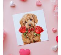Cockapoo with 2 red roses, Valentine or birthday card, Square, 148cm with Envelope