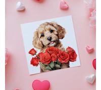 Cockapoo with red roses, Valentine or birthday card, Square, 148cm with Envelope