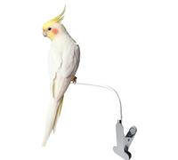 Cockatiel Perch | Parrots Cage Accessories - Stable Perching Solution Bird Training Perch,for Lovebirds Finch Budgies Parrots Parakeets Cockatiels