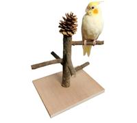 Cockatiel Perch Playground - Tabletop Parrot Stand, Natural Wood Bird Gym with Interactive Climbing Ladders, Sturdy Branch Training Station, Ideal for Workplace Desk Home Office