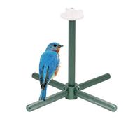 Cockatiel Toy - Rotating Funny Interactive, Bird Seat Stand Cage Chew Toy - For Cage, Indoor and Home Conure Inseparable Movement