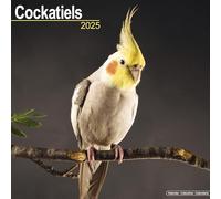 Cockatiels Calendar 2025 Square Bird Wall Calendar - 16 Month 9781804604144 NEW