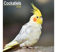 Cockatiels Calendar 2026 Square Bird Wall Calendar - 16 Month