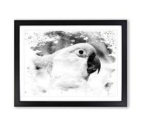 Cockatoo Bird Vol.2 V4 Modern Framed Print | A2 Black Framed Wall Art | Ready to Hang | Modern Nature Picture | Living Room Bedroom Lounge Office