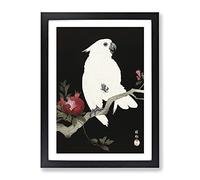 Cockatoo & Pomegranate By Ohara Koson Asian Japanese Framed Print | A3 Black Framed Wall Art | Ready to Hang | Asian Nature Picture | Living Room Bedroom Lounge Office