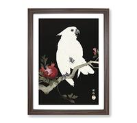 Cockatoo & Pomegranate By Ohara Koson Asian Japanese Framed Print | A3 Walnut Framed Wall Art | Ready to Hang | Asian Nature Picture | Living Room Bedroom Lounge Office